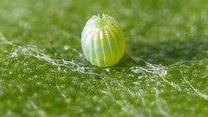 Aufwind2025 aktuell 15