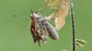 Aufwind2025 aktuell 29