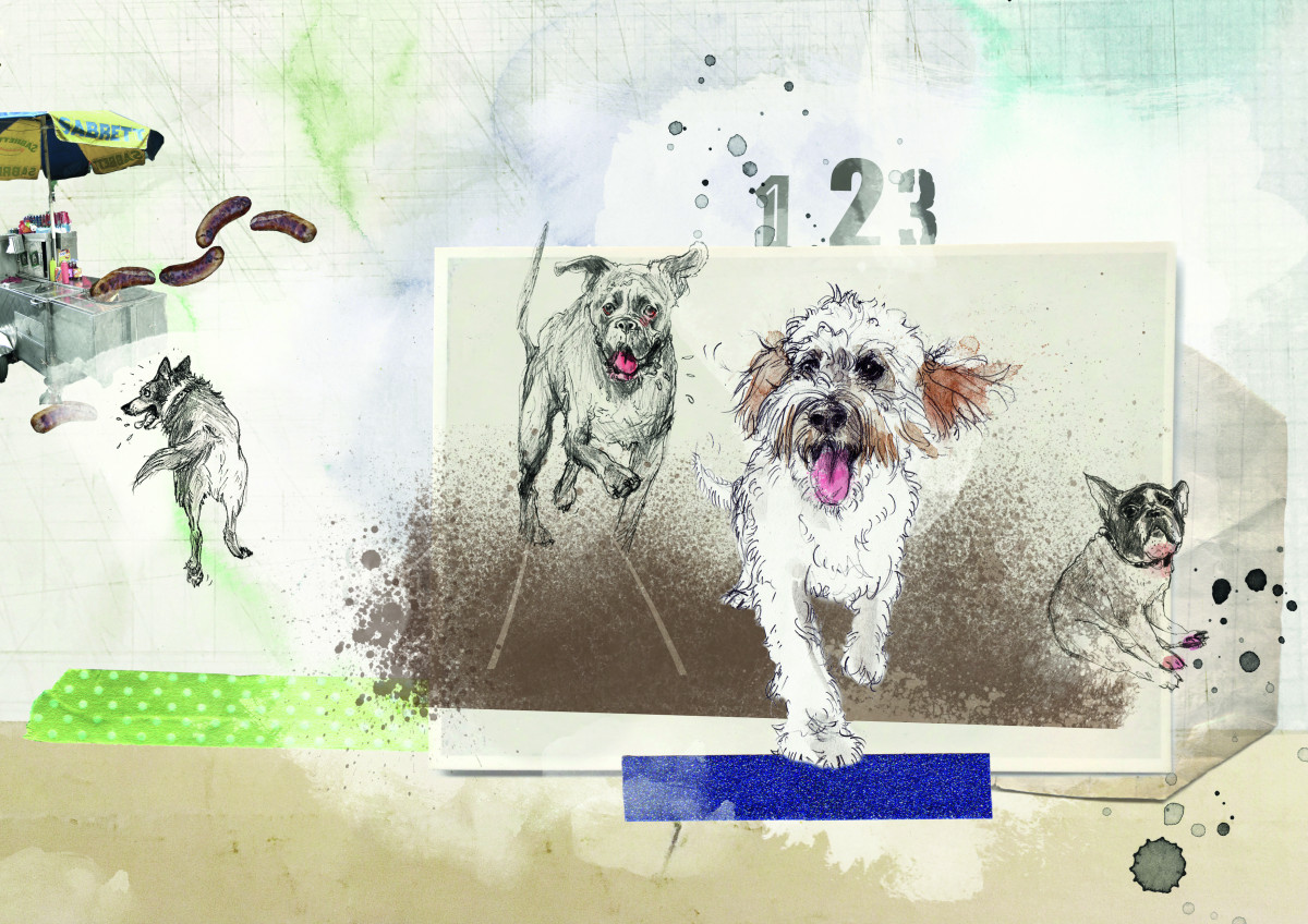 Bild300dpi Hunderennen