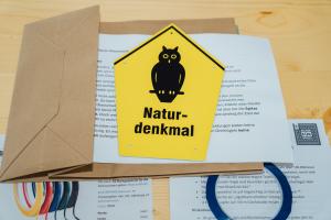 kreativ&nach 0033 20260608 DSC6393